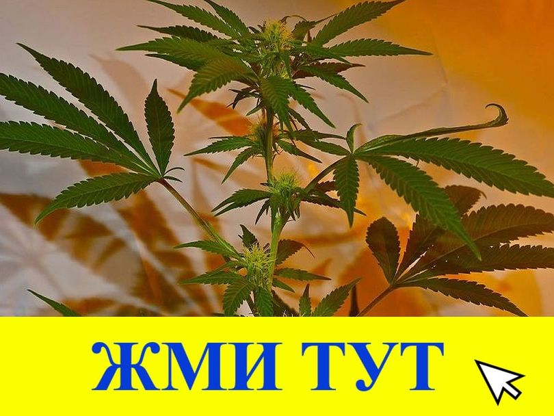 Купить наркотики в Усть-Джегуте
